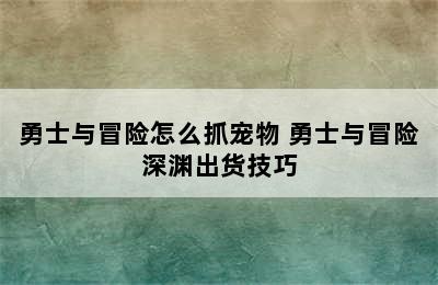 勇士与冒险怎么抓宠物 勇士与冒险深渊出货技巧